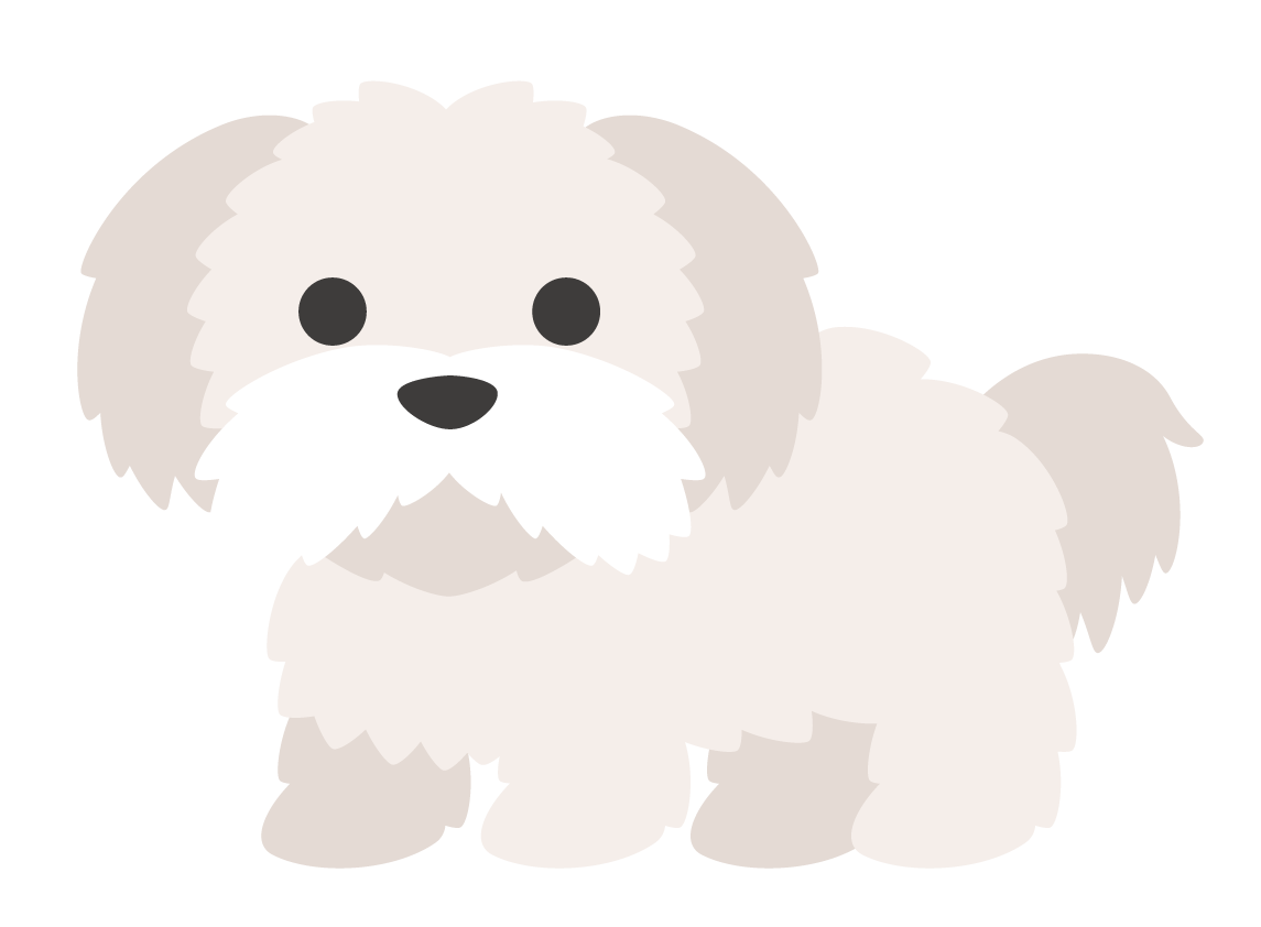 Bグループ 小型犬